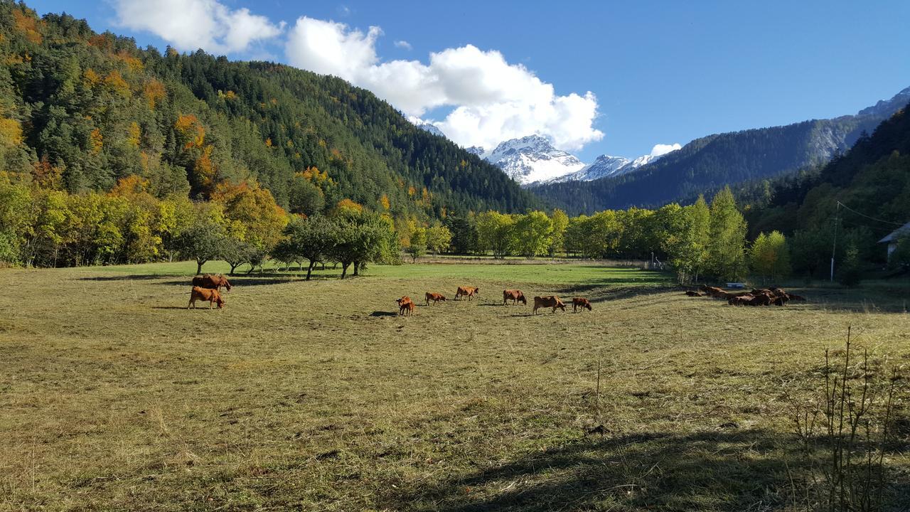 Gite De Boscodon Crots Buitenkant foto