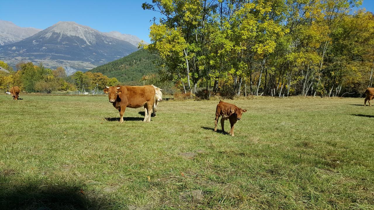 Gite De Boscodon Crots Buitenkant foto